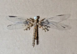 Nicoletta Carlone "Oneida" Dragonfly Hair Barrette