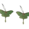 Nicoletta Carlone Shop "Susie" Luna Moth Earrings
