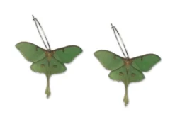 Nicoletta Carlone Shop "Susie" Luna Moth Earrings