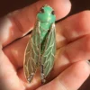 Nicoletta Carlone Shop "Rene" Enamel Art Nouveau Style Cicada Brooch